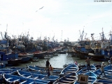 0443_Maroko2004_Essaouira.jpg