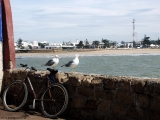 Filename=0446_Maroko2004_Essaouira.jpg
Filesize=299KB
Dimensions=800x600
Date added=Jul 21, 2008 0446_Maroko2004_Essaouira.jpg