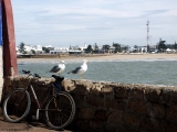 0446_Maroko2004_Essaouira.jpg