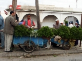 0457_Maroko2004_Essaouira.jpg