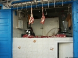 0485_Maroko2004_Essaouira.jpg