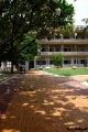 Filename=0816-Thai_Camb.jpg
Filesize=152KB
Dimensions=400x600
Date added=May 06, 2008 0816-Thai_Camb.jpg