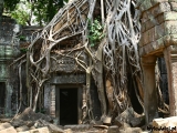 Filename=1012-Thai_Camb-SR.jpg
Filesize=300KB
Dimensions=800x600
Date added=May 08, 2008 1012-Thai_Camb-SR.jpg