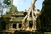 Filename=1040-Thai_Camb-SR.jpg
Filesize=252KB
Dimensions=800x533
Date added=08.May 2008 1040-Thai_Camb-SR.jpg