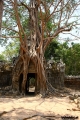 Filename=1130-Thai_Camb-SR.jpg
Filesize=188KB
Dimensions=400x600
Date added=May 08, 2008 1130-Thai_Camb-SR.jpg