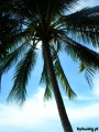 Filename=1672-Thai_Camb_NK-Railey.jpg
Filesize=155KB
Dimensions=450x600
Date added=May 09, 2008 1672-Thai_Camb_NK-Railey.jpg